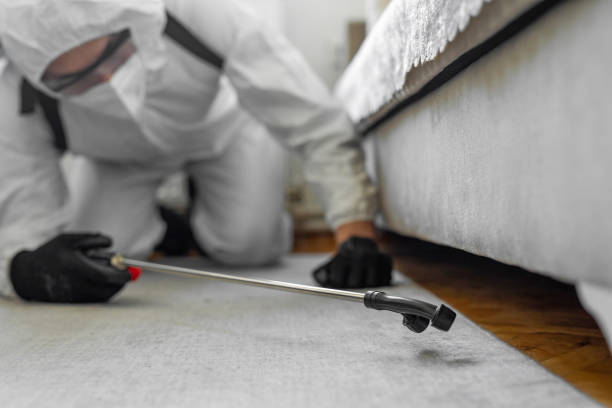 Professional Bed Bug Control technician working in Moyock, NC