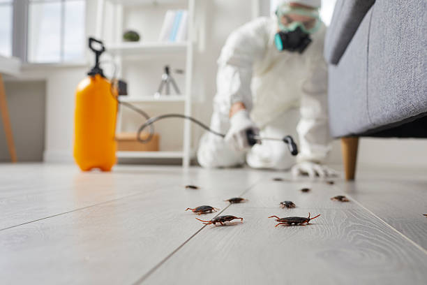 Trusted Fumigation Services service in Moyock, NC - Nex Pest Control