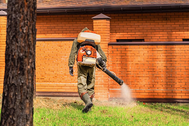 Trusted Cockroach Control service in Moyock, NC - Nex Pest Control